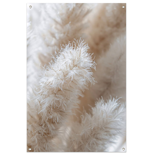 Close-up van Witte Pluimen tuinposter