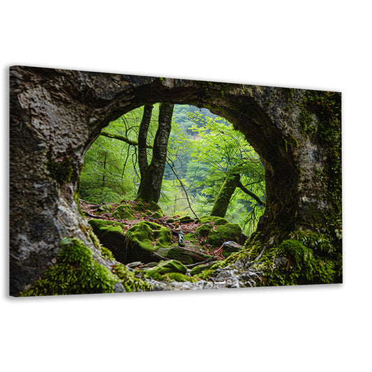 Natuurlijke Venster in Rotsformatie Bos canvas