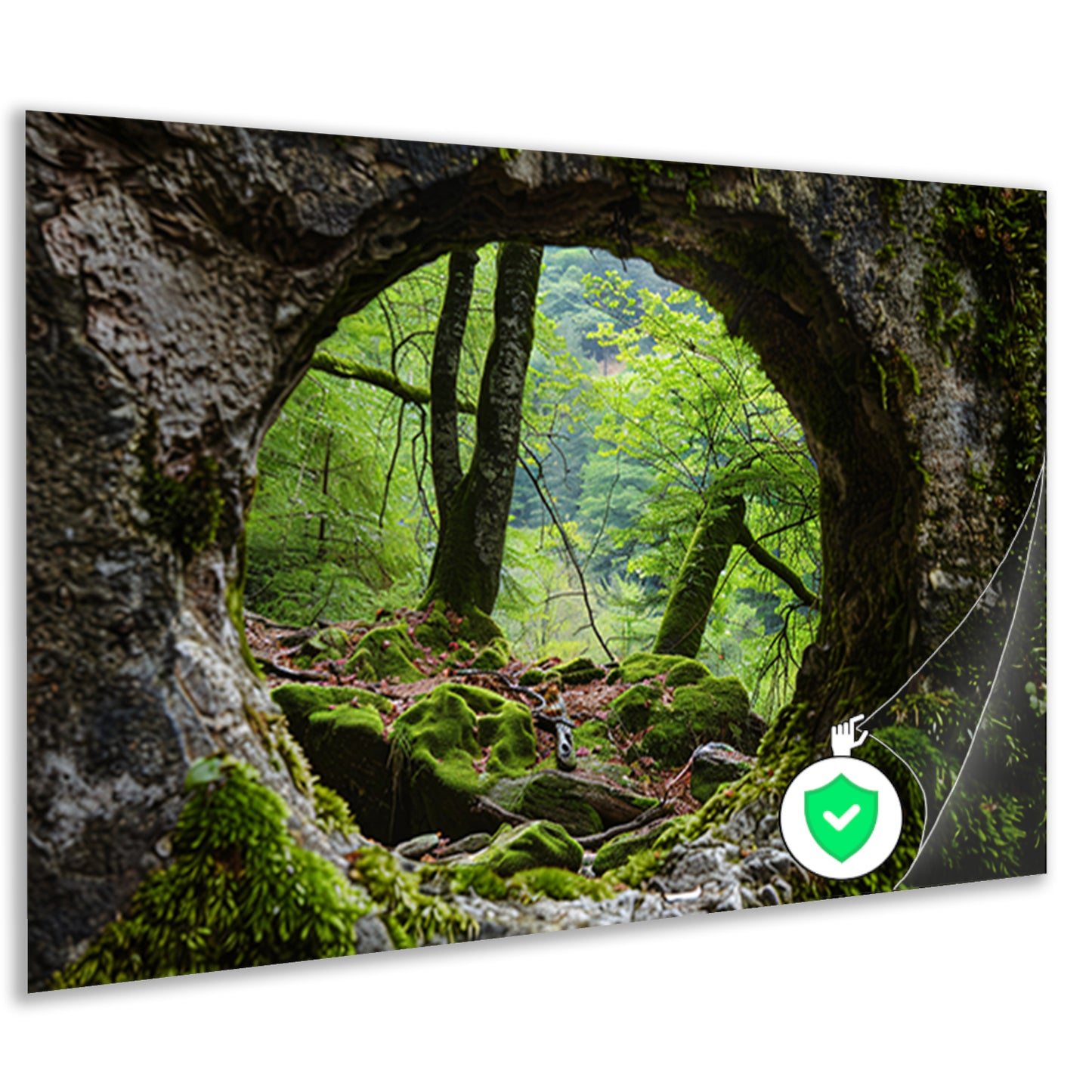 Natuurlijke Venster in Rotsformatie Bos poster