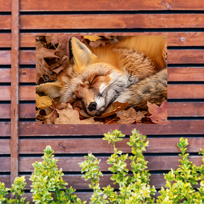 Slapende vos tussen herfstbladeren tuinposter