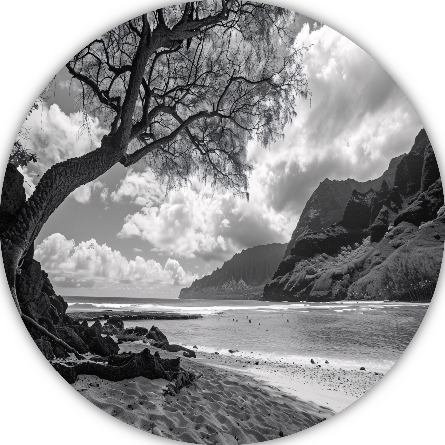 Eenzame boom op strand aluminium muurcirkel