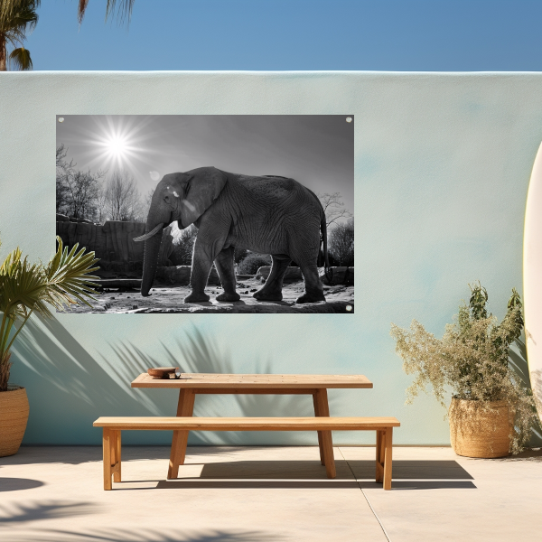 Olifant in Afrikaans landschap tuinposter