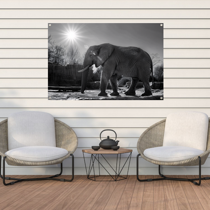 Olifant in Afrikaans landschap tuinposter