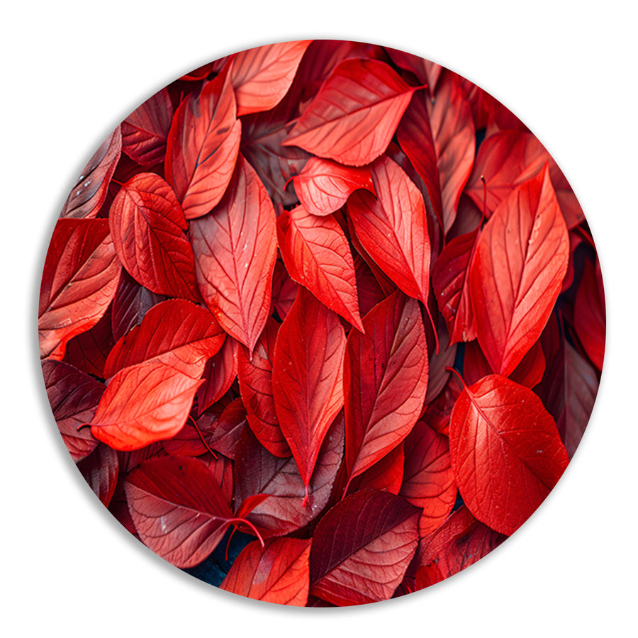 Close-up van Dieprode Herfstbladeren aluminium muurcirkel
