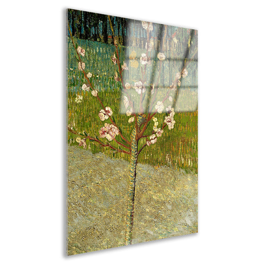 Amandelboom in bloei - Vincent van Gogh Acrylglas