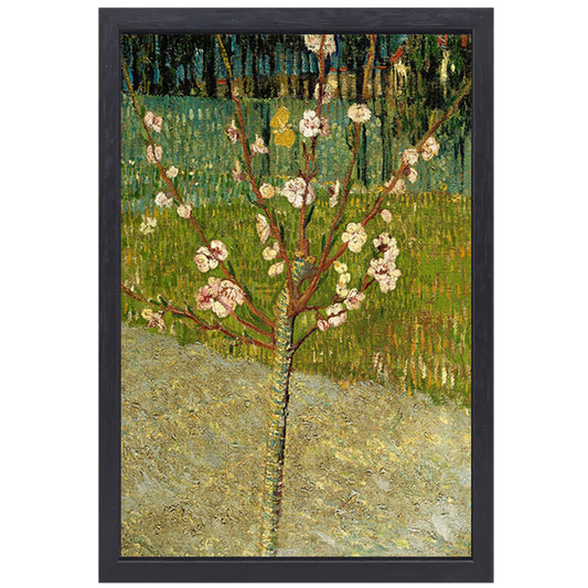 Amandelboom in bloei - Vincent van Gogh canvas met baklijst