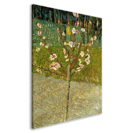 Amandelboom in bloei - Vincent van Gogh canvas