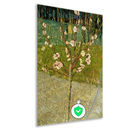 Amandelboom in bloei - Vincent van Gogh poster