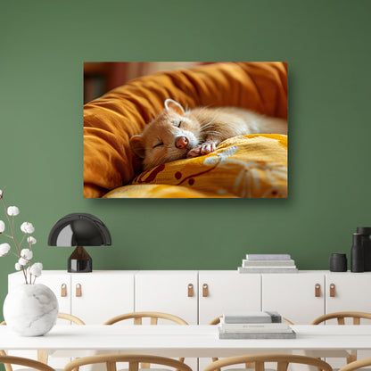 Slapende Fret op Zacht Kussen canvas met baklijst