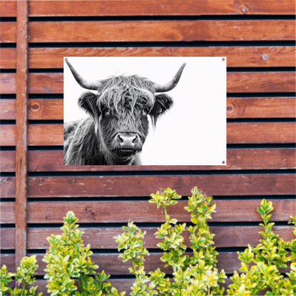 Close-up van een Schotse Hooglander in zwart-wit tuinposter
