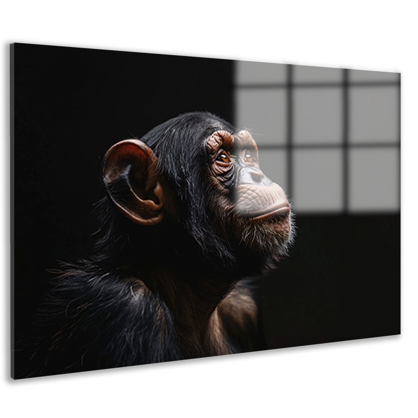 Gedetailleerd chimpanseeportret met donkere achtergrond acrylglas