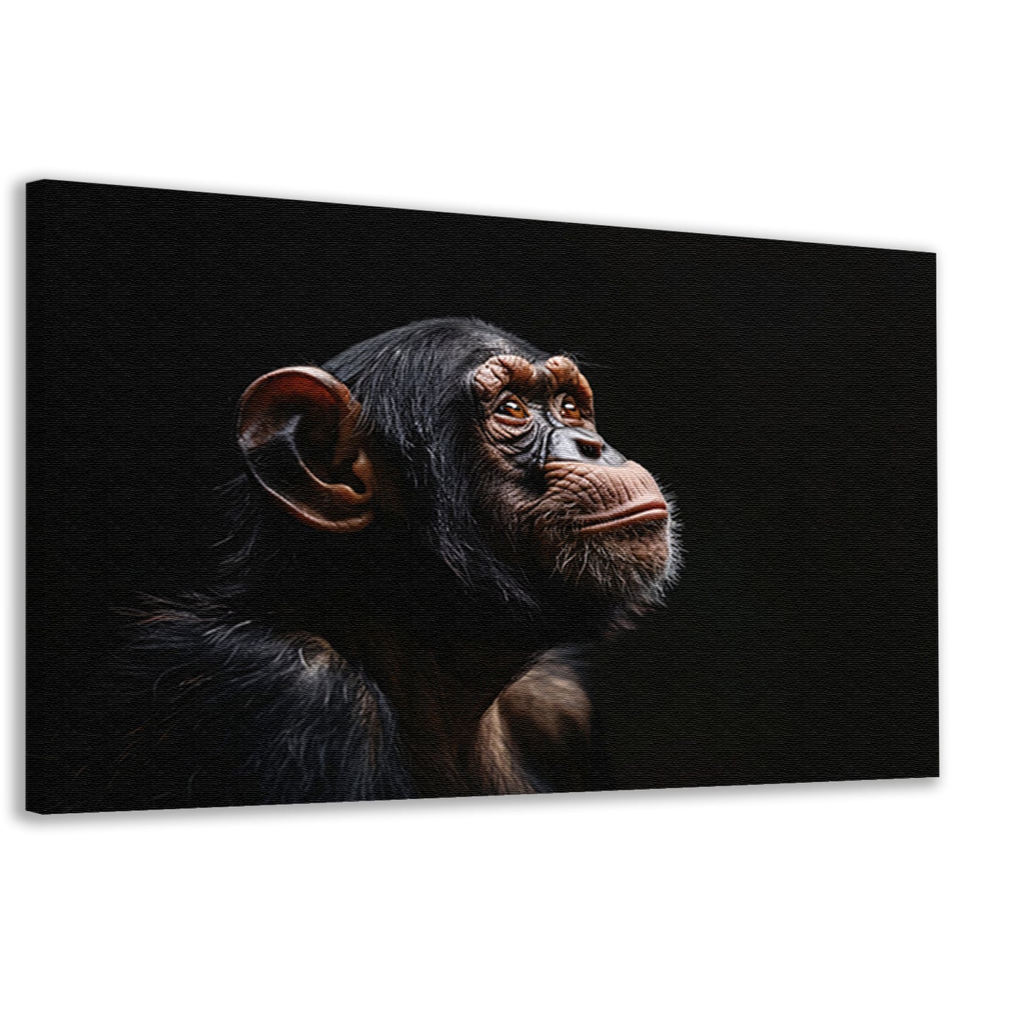 Gedetailleerd chimpanseeportret met donkere achtergrond canvas