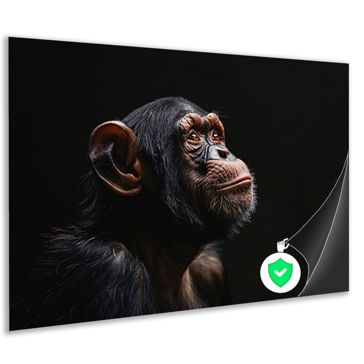 Gedetailleerd chimpanseeportret met donkere achtergrondposter