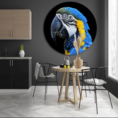 Realistisch schilderij van kleurrijke papegaai aluminium muurcirkel
