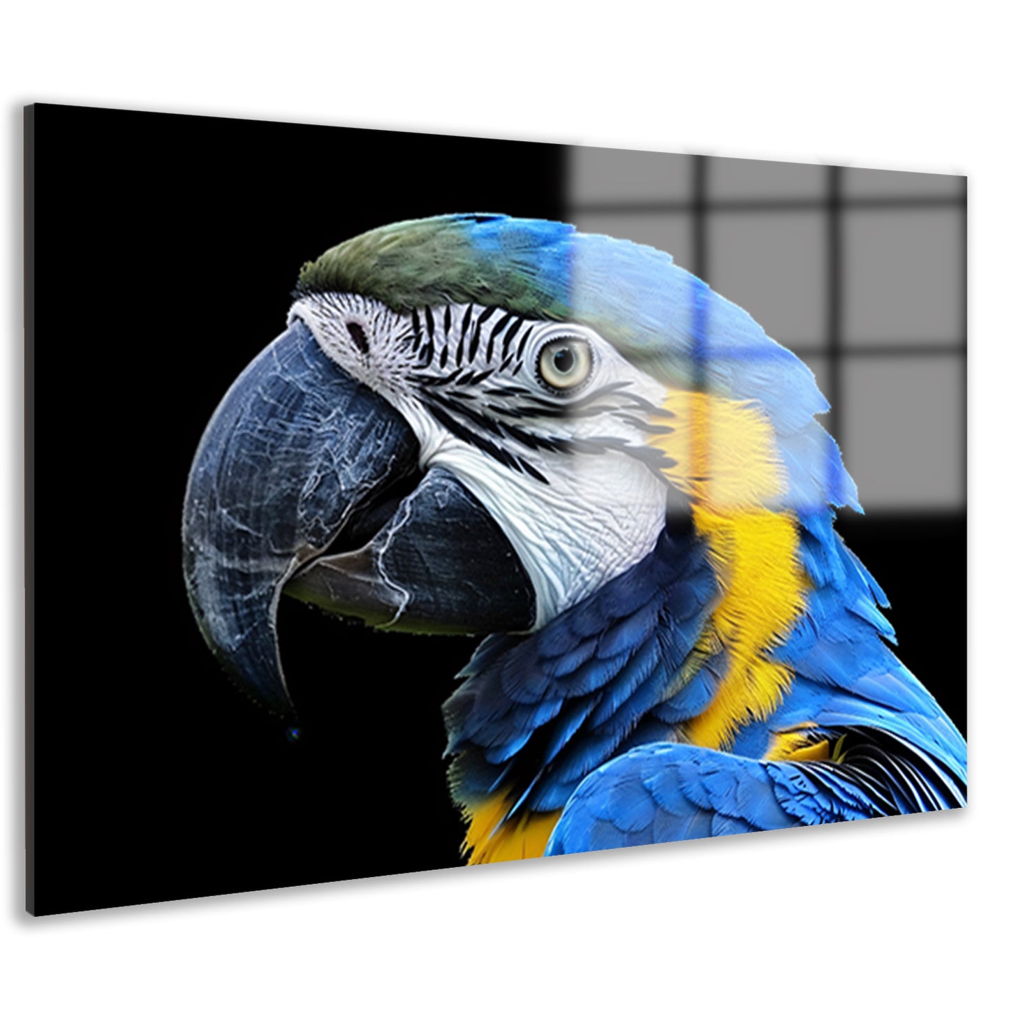 Realistisch schilderij van kleurrijke papegaai acrylglas
