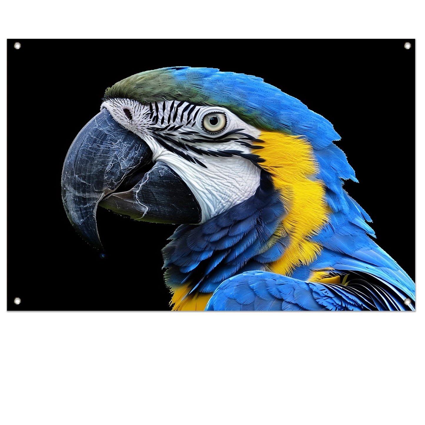 Realistisch schilderij van kleurrijke papegaai tuinposter