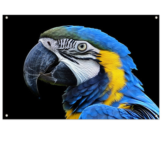 Realistisch schilderij van kleurrijke papegaai tuinposter