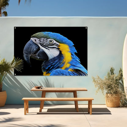 Realistisch schilderij van kleurrijke papegaai tuinposter