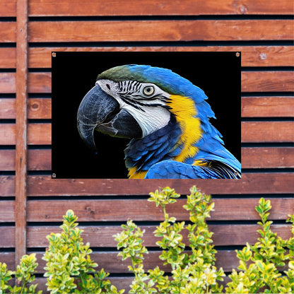 Realistisch schilderij van kleurrijke papegaai tuinposter