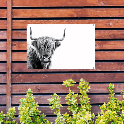 Majestueuze Schotse Hooglander in Hoog Contrast tuinposter