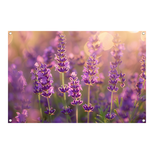 Betoverende zonsondergang over een lavendelveld tuinposter