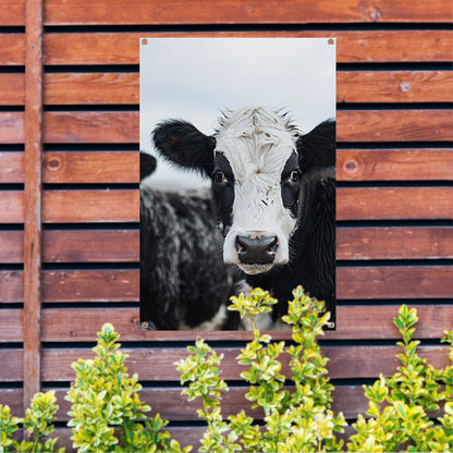 Portret van een Nieuwsgierige Koe tuinposter