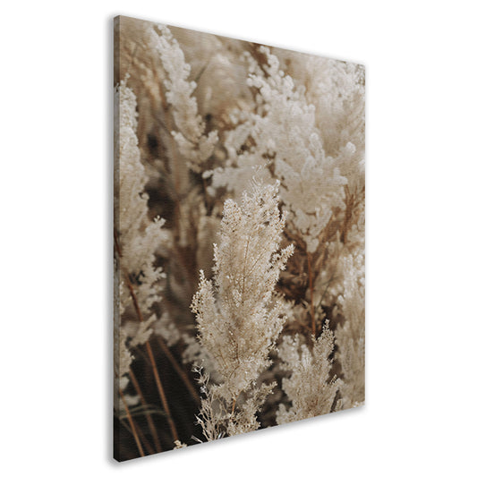 Beige pluimen dansen in de wind canvas