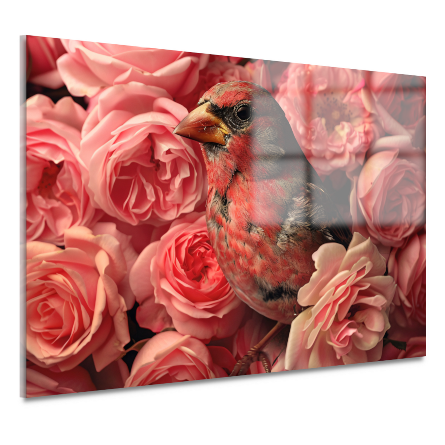 Vogel omhuld door roze rozenpracht canvas