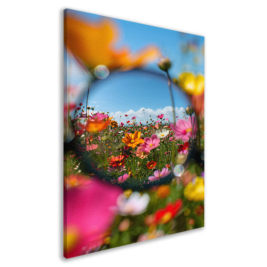 Close-up van kleurrijke bloemen in veld canvas