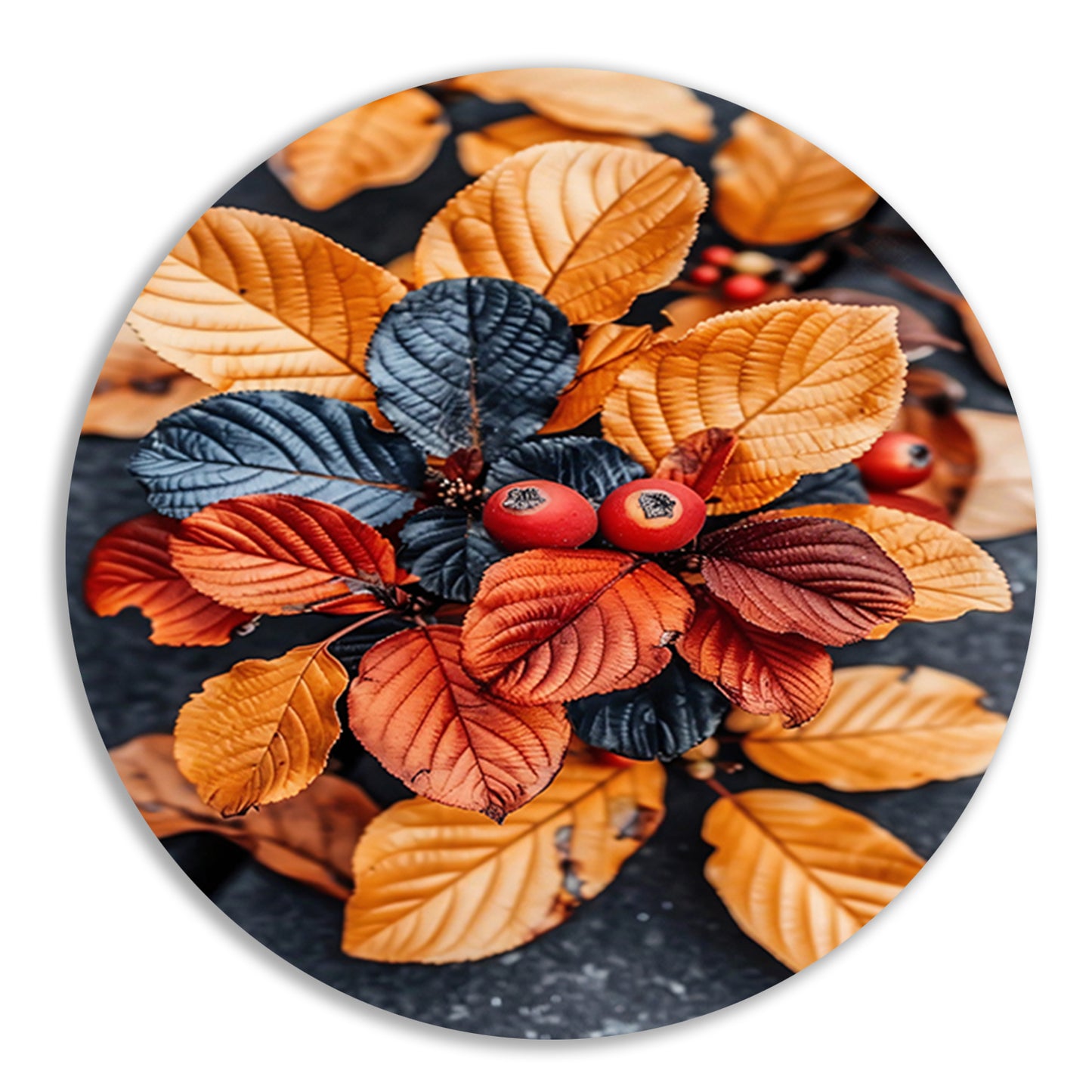 Close-up van rode bessen en herfstbladeren. aluminium muurcirkel