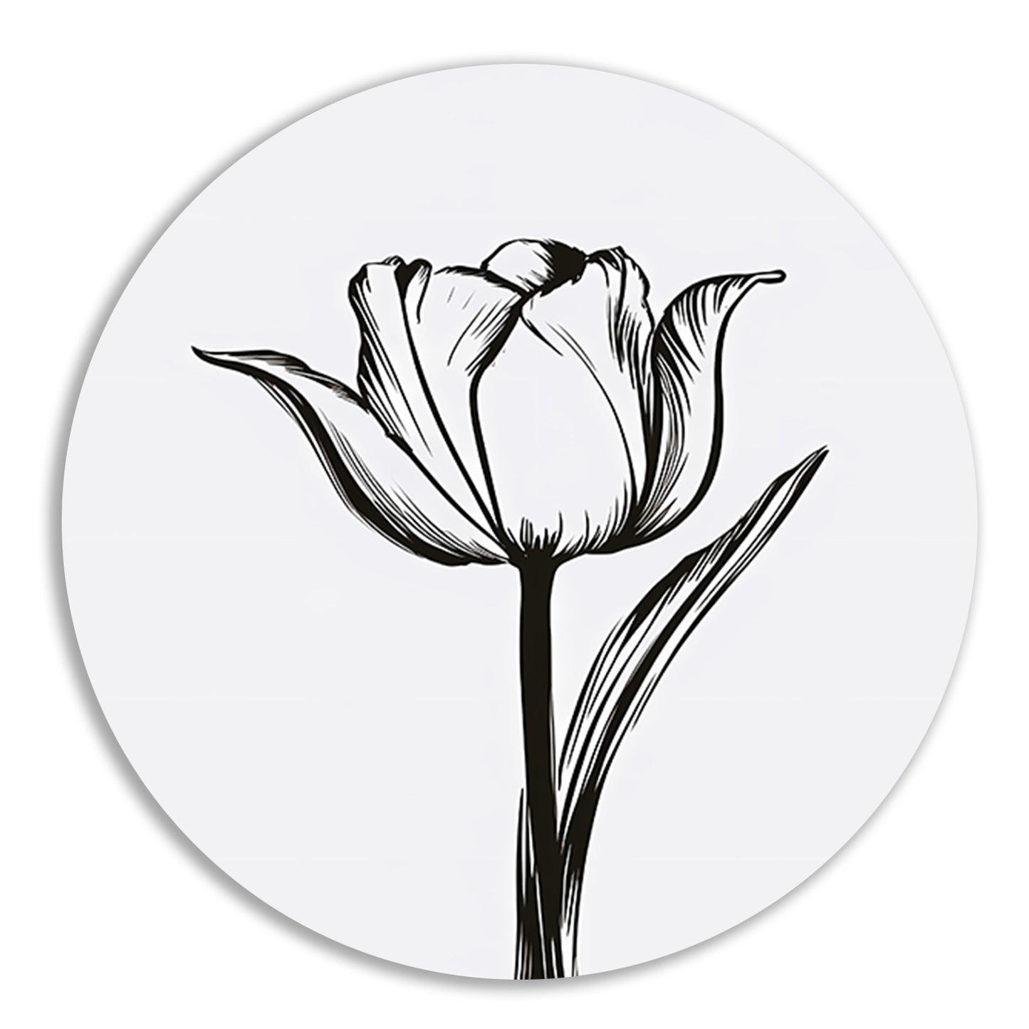 Zwarte lijnen, witte tulp, minimalistisch design aluminium muurcirkel