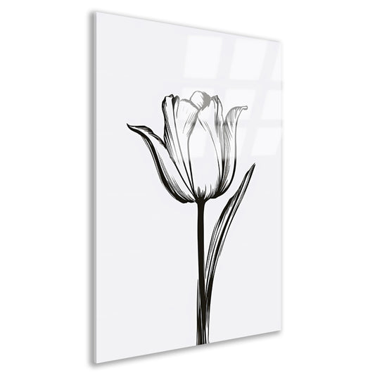 Zwarte lijnen, witte tulp, minimalistisch design acrylglas