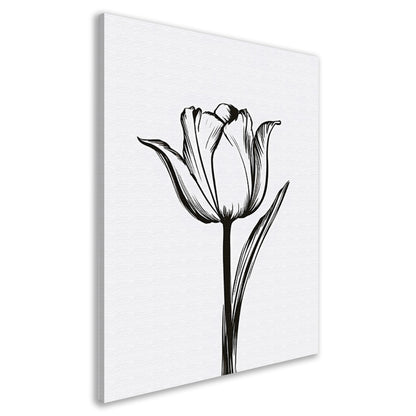 Zwarte lijnen, witte tulp, minimalistisch design canvas