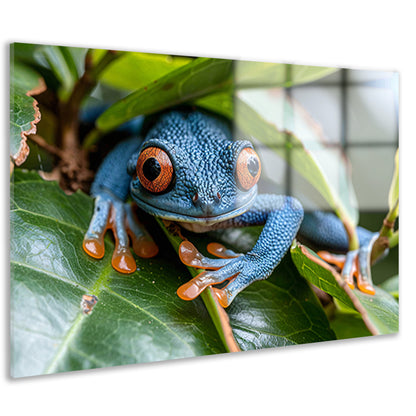 Groene kikker op blad acrylglas