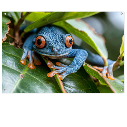 Groene kikker op blad tuinposter