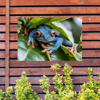 Groene kikker op blad tuinposter