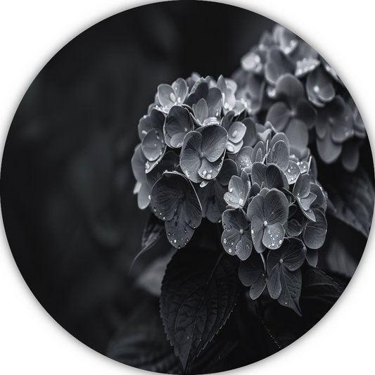 Hydrangeas in Vaas forex muurcirkel