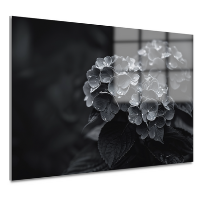 Hydrangeas in Vaas acrylglas
