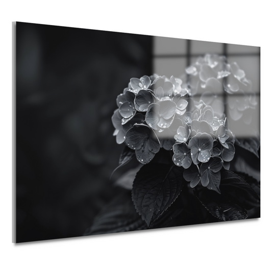 Hydrangeas in Vaas acrylglas