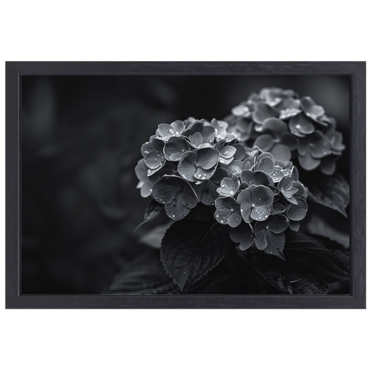 Hydrangeas in Vaas canvas met baklijst