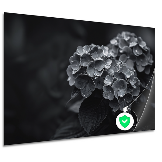 Hydrangeas in Vaas poster
