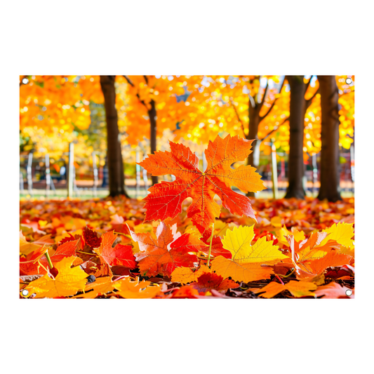 Herfstbladeren in zonovergoten park tuinposter