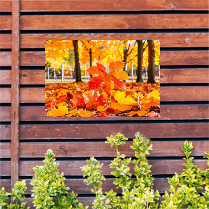 Herfstbladeren in zonovergoten park tuinposter