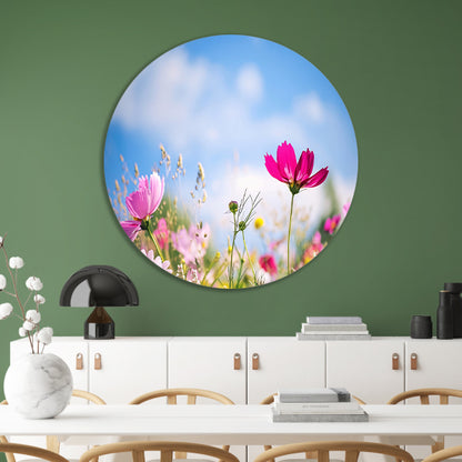 Heldere bloemen tegen een blauwe hemel   forex muurcirkel