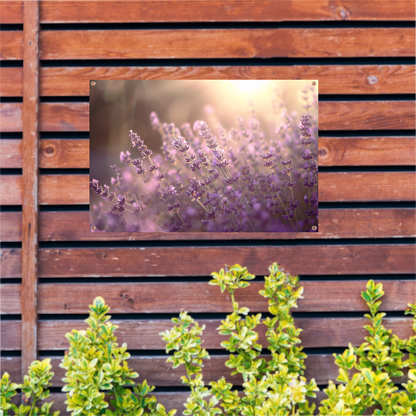 Betoverende lavendelvelden badend in zonlicht tuinposter