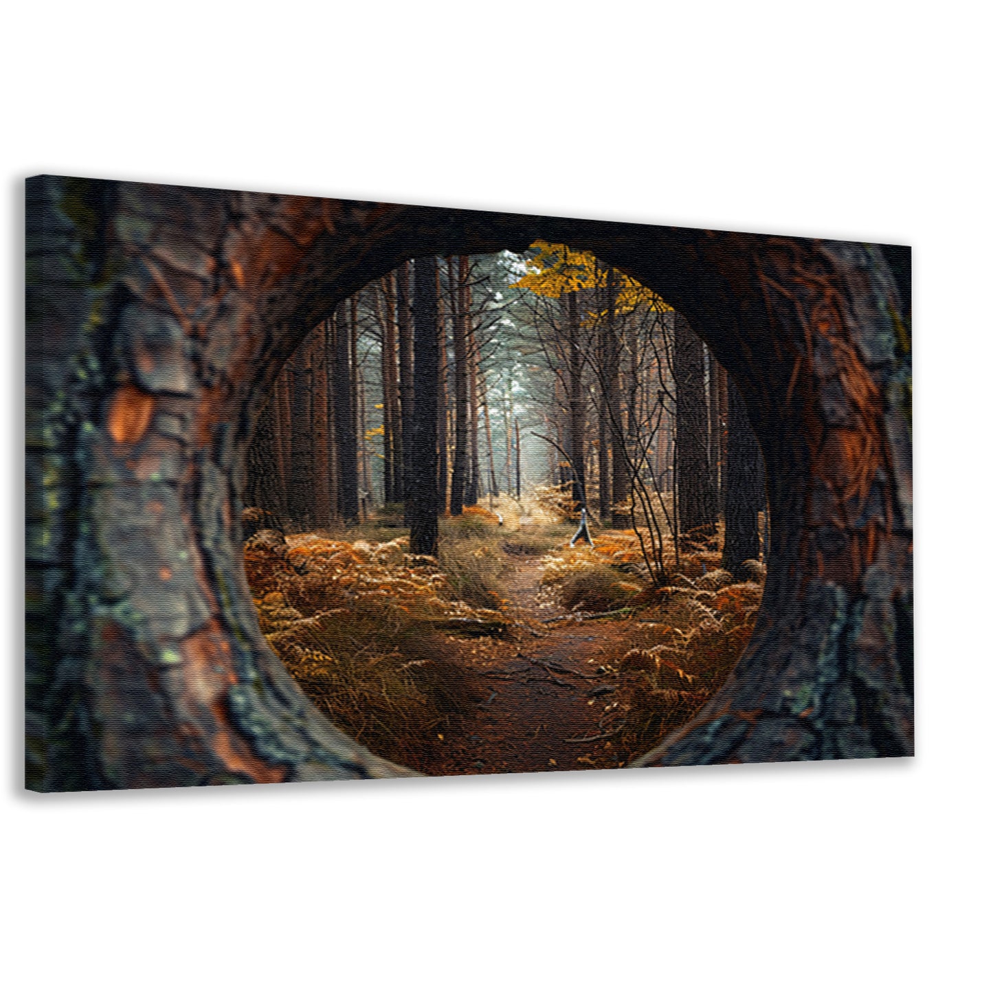 Eenzame wandeling door herfstbos canvas