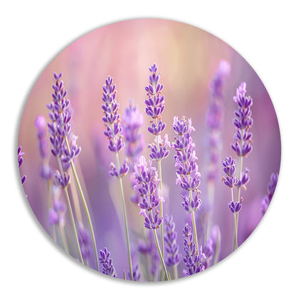 Betoverende lavendelvelden in zachte pasteltinten forex muurcirkel