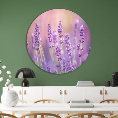 Betoverende lavendelvelden in zachte pasteltinten aluminium muurcirkel