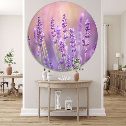 Betoverende lavendelvelden in zachte pasteltinten aluminium muurcirkel