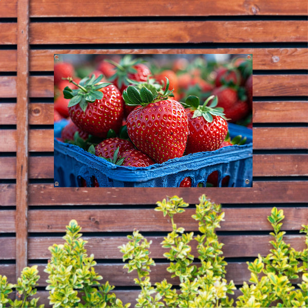 Blauwe schaal met aardbeien tuinposter